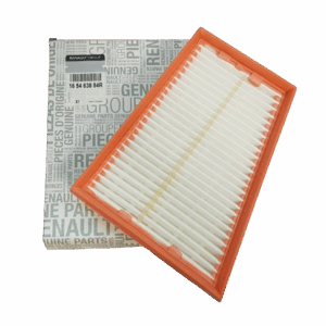 Filtr Powietrza Renault 2.0Dci/2.0Tce 165463884R Oryginał 165463884R