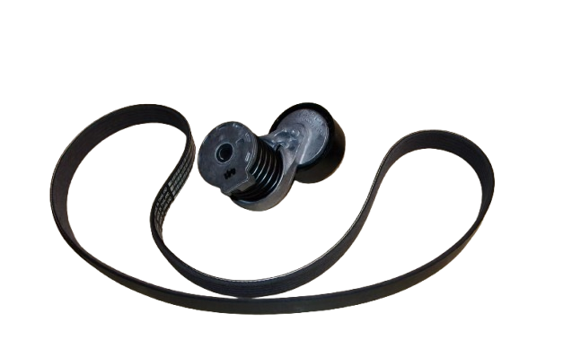 Pasek Klinowy Komplet Renault Dacia 117201925R Oryginał ORG 117201925R