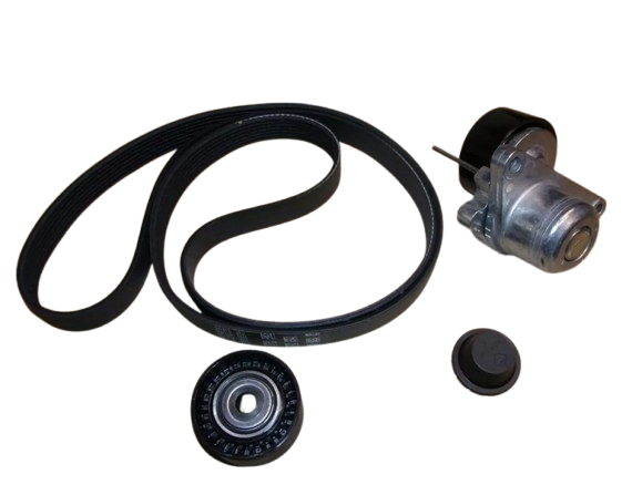 Pasek Klinowy Komplet Renault Dacia 117202245R Oryginał ORG 117202245R