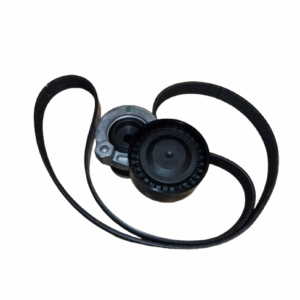 Pasek Klinowy Komplet Renault Dacia 117204246R Oryginał ORG 117204246R