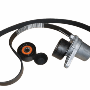 Pasek Klinowy Komplet Renault Dacia 117209256R Oryginał ORG 117209256R