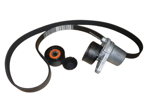 Pasek Klinowy Komplet Renault Dacia 117209256R Oryginał ORG 117209256R