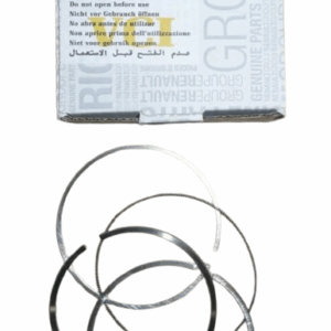 Pierścienie Tłoka Renault Dacia 120335489R Oryginał ORG 120335489R