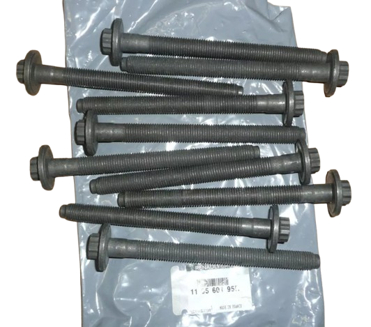 Śruba Głowicy Renault 1.6Dci 110560195R 110560195R