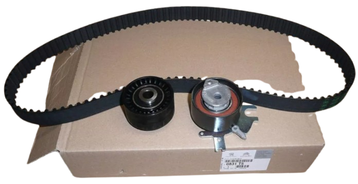 Zestaw Paska Rozrządu Citroen Peugeot 0831T5 Oryginał ORG 0831T5