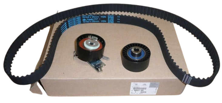 Zestaw Paska Rozrządu Citroen Peugeot 0831V6 Oryginał ORG 0831V6