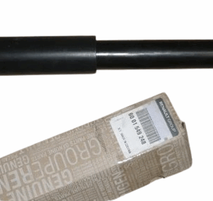 Amortyzator Tył Renault Dacia 6001549248 Oryginał ORG 6001549248