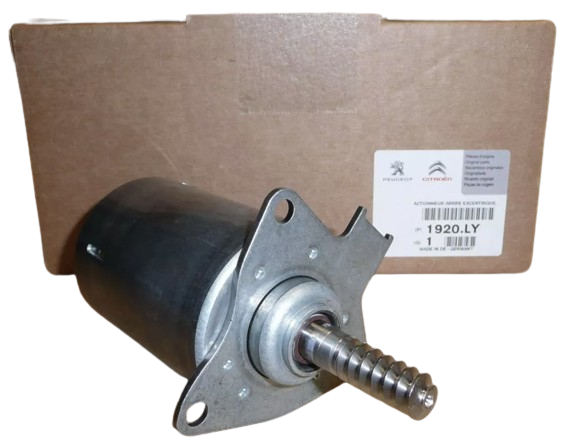 Elektrozawór Zmiennej Fazy Rozrządu Citroen Peugeot 1920Ly Oryginał ORG 1920LY