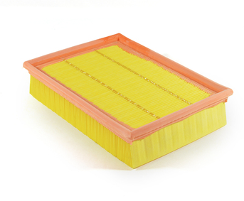 Filtr Powietrza Citroen Peugeot 1444Wg Oryginał ORG 1444WG