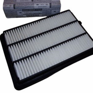 Filtr Powietrza Renault Dacia 165467Fv0A Oryginał ORG 165467FV0A