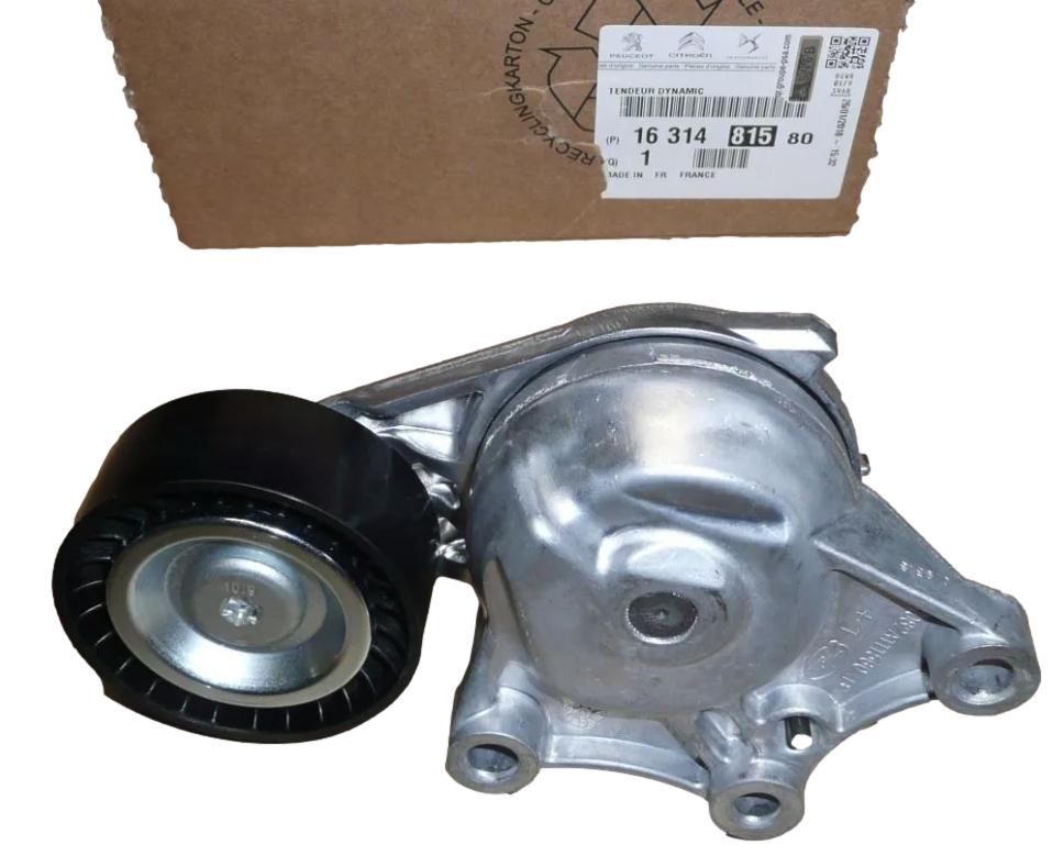 Napinacz Paska Citroen Peugeot 1631481580 Oryginał ORG 1631481580