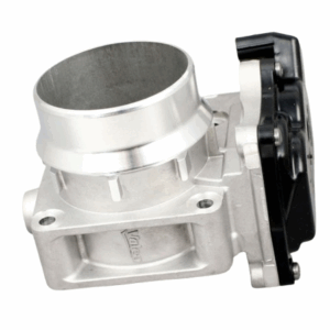 ORG 2502400Q0B 2
