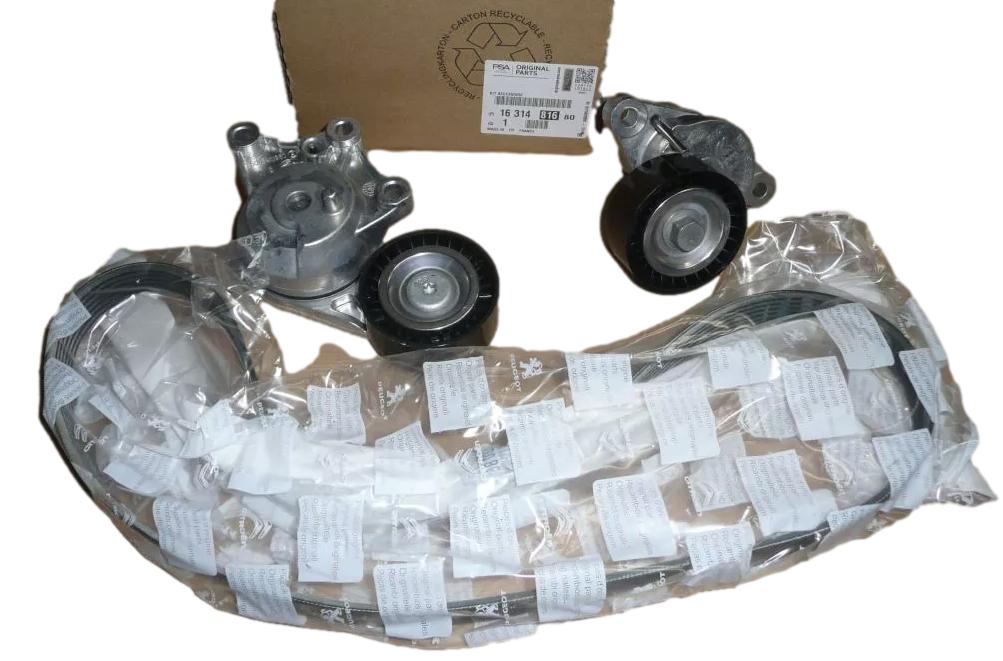Pasek Napinacz Paska Citroen Peugeot 1631481680 Oryginał ORG 1631481680