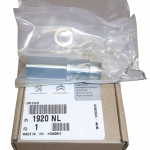 Zawór Ciśnienia Paliwa Citroen Peugeot 1920Nl Oryginał ORG 1920NL