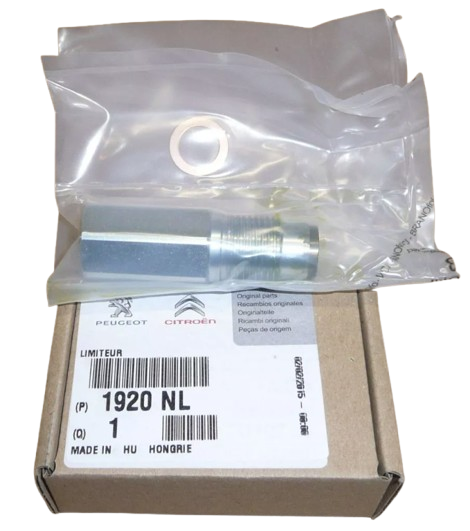 Zawór Ciśnienia Paliwa Citroen Peugeot 1920Nl Oryginał ORG 1920NL