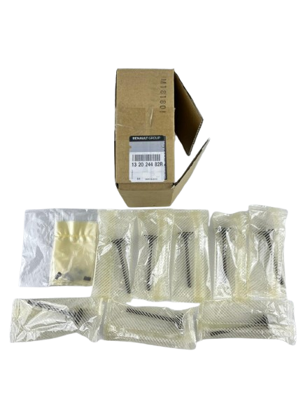 Zawory Wydechowe Renault 2.5 16V 132024482R Oryginał 132024482R