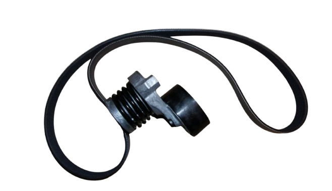 Pasek Napędu Renault 1.5Dci 117202339R Oryginał 117202339R