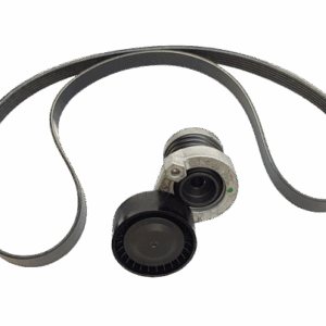 Pasek Napędu Renault 1.5Dci Euro 6 117203804R Oryginał 117203804R