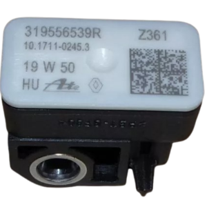 319556539R 4