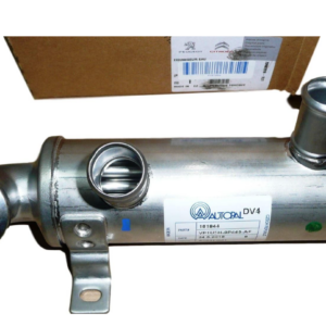 Chłodnica Spalin Egr Citroen Peugeot 161844 1.4Hdi Oryginał 1618.44