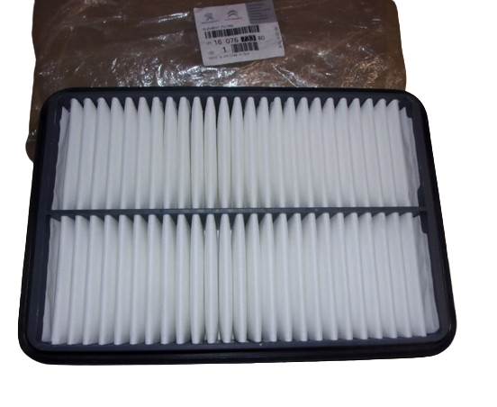 Filtr Powietrza Citroen Peugeot 1607673380 Oryginał 1607673380