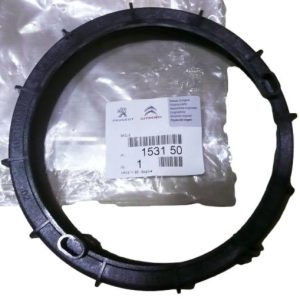 Nakrętka Pompy Paliwa Citroen Peugeot 153150 Oryginał ORG 153150