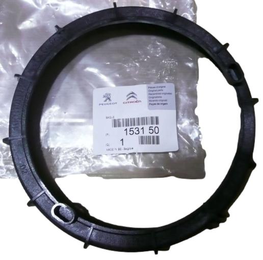 Nakrętka Pompy Paliwa Citroen Peugeot 153150 Oryginał ORG 153150