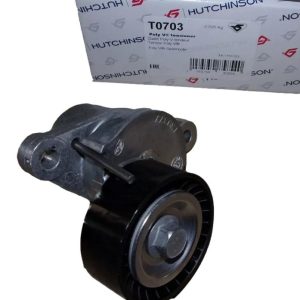 Napinacz 1613255380 Citroen Peugeot Hutchinson HUT T0703