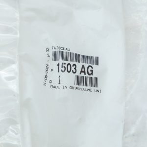 ORG 1503AG 2
