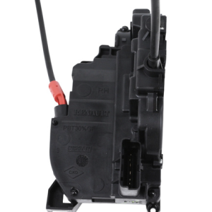 ORG 8050200Q1F 2