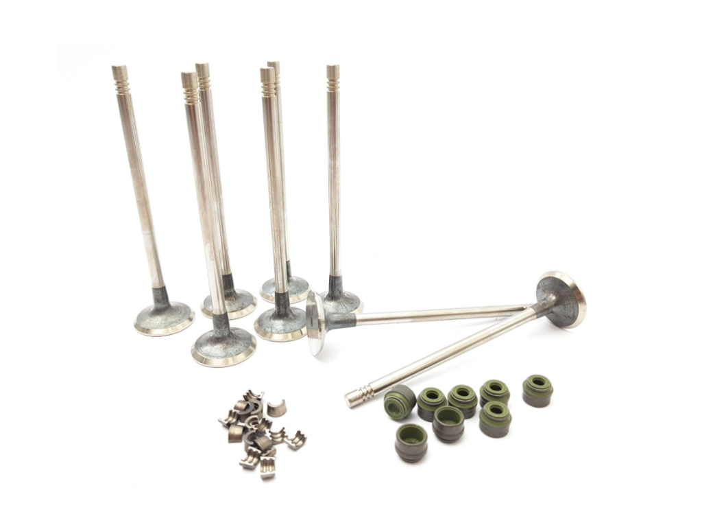 Zawór Ssący Zestaw Renault Dacia 7701472669 Oryginał ORG 7701472669