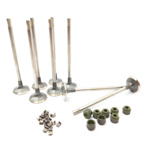 Zawór Ssący Zestaw Renault Dacia 7701472669 Oryginał ORG 7701472669