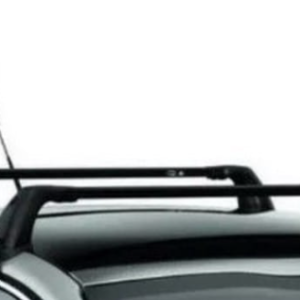 Belki Dachowe Citroen Peugeot 1607440380 Oryginał 1607440380