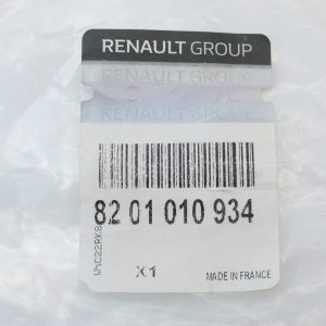 8201010934 5