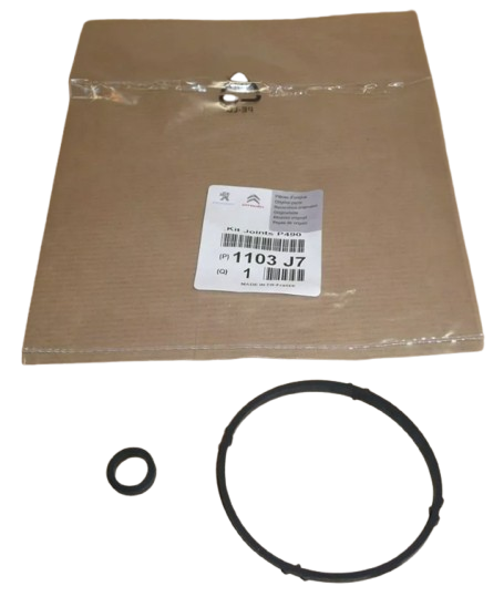 Komplet Uszczelek 1103J7 Citroen Peugeot Oryginał ORG 1103J7