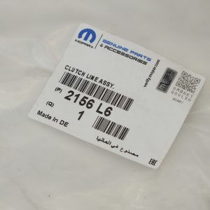 ORG 2156L6 6