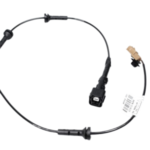 ORG 2407500Q2D 2