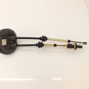 ORG 2444CF 6