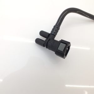 ORG 4572Y5 4