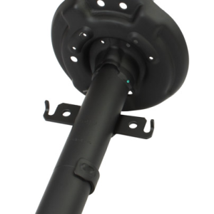 ORG 543020117R 2