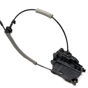 ORG 8050200Q1H 2