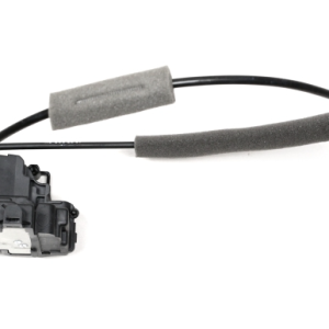 ORG 8050200Q1H 4