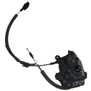 ORG 825019504R 2