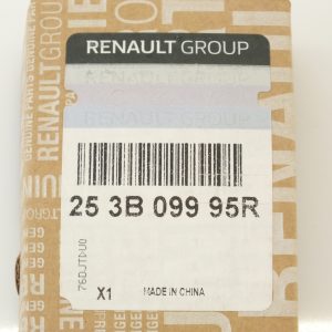 253B09995R 4