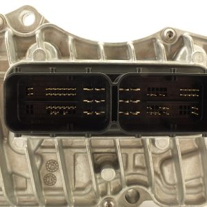 ORG 310320891R 4