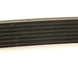 ORG 117205123R 4