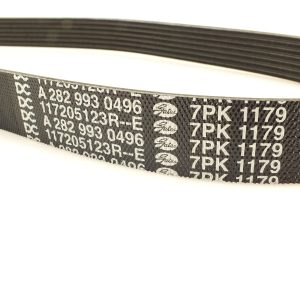ORG 117205123R 5