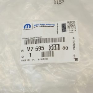 ORG V759556880 6