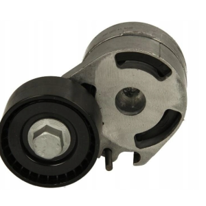 Napinacz Paska Citroen Peugeot 1613840380 575189 SNR SNR GA359.11