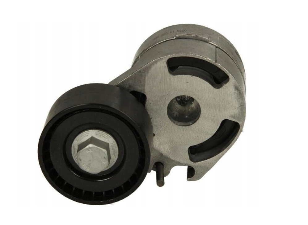 Napinacz Paska Citroen Peugeot 1613840380 575189 SNR SNR GA359.11